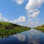 Fishing Canals in Southwest Florida