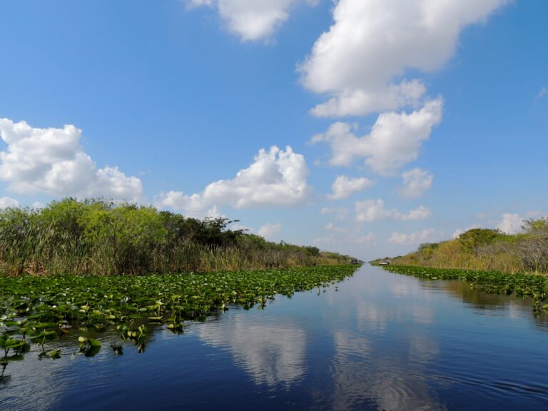 Fishing Canals in Southwest Florida